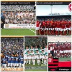 Os Campeões Estaduais 2011