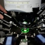 Cérebros Artificiais Podem Ser Lançados em 2024 Cérebros Artificiais Podem Ser Lançados em 2024