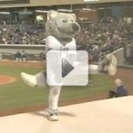 Mascote, a Alegria do Público