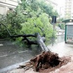 A Chuva que Castigou o Sudeste A Chuva que Castigou o Sudeste