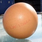 Ovo Redondo é Descoberto na Inglaterra