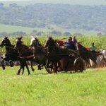 O Torneios de Quadrigas O Torneios de Quadrigas