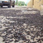 Praga de Besouros Infesta Cidade Brasileira