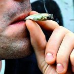 11 Coisas que Você Ainda Não Sabia Sobre a Marijuana 11 Coisas que Você Ainda Não Sabia Sobre a Marijuana