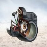 A Anatomia de Gadgets Eletrónicos