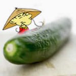 Chinês Tenta Suicídio Sentando no Pepino Chinês Tenta Suicídio Sentando no Pepino