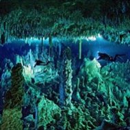 As Cavernas Submersas que Inspiraram o Filme Santuário