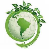 Especialista Aponta Brasil Como Líder Para um Futuro Sustentável