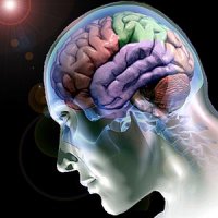 10 Funções Importantes do Cérebro