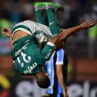 Palmeiras Chega ao G-4 do Brasileirão 2015