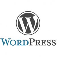 O Problema Nem Sempre é com o Wordpress