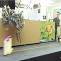 Robô 'Cheetah' Desenvolvido no Mit Pula Obstáculos de Até 45 CM