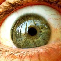 Cientistas Descobrem Depósito de Células Tronco no Olho Humano