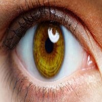 Olho Humano Pode Perceber Luzes Infravermelhas 'Invisíveis'