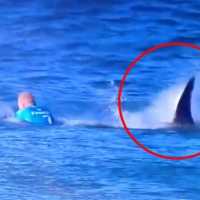 Momento em que Tubarão Ataca o Surfista Mick Fanning