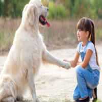 Convívio com Cães 'Reduz Risco de Asma em Crianças'