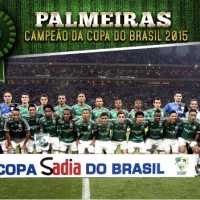 Palmeiras é Campeão da Copa do Brasil
