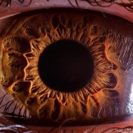 Fotos Impressionantes do Olho Humano
