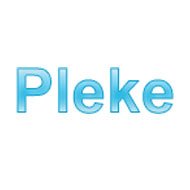 Pleke, Um Novo Site de Buscas Com Resultados Unificados
