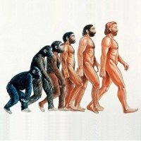 Evolução: Como Assim?