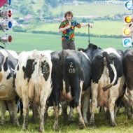 Comediante Faz Show para Vacas na Inglaterra