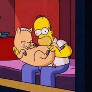 Homer Simpson e a Gripe Suína