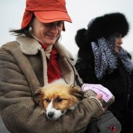 Protesto na Romênia Contra o Sacrifício de Cães de Rua