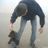 Ataque Feroz de Um Urso na Rússia