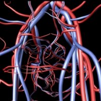 Arteriosclerose - Deterioração das Artérias