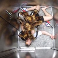 Cachorraranha - a EspÃ©cie de Aranha Mais Perigosa do Mundo