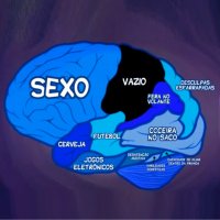 Como Funciona o Cérebro Masculino
