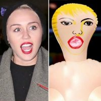 Coisas que se Parecem com a Miley Cyrus