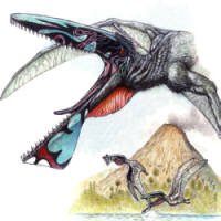 Brasileiros Descobrem Pterossauro que Lembra 'Dragão' de Avatar