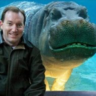Hipopótamo Sorri para Foto em Zoológico nos Estados Unidos