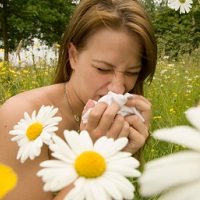 Alergias Podem Afetar 40 a 50% dos Ocidentais em 2025