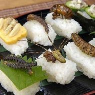 Comida Japonesa com Insetos