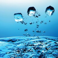 Água: Um Recurso Cada Vez Mais Precioso Para o Planeta