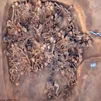 Arqueólogos Encontram Quase 100 Corpos Deformados Datada com 5.000 Anos