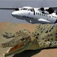 Crocodilo em Avião Causa a Morte de 19 Pessoas