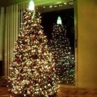 A Melhor Árvore de Natal Ecológica de Todos os Tempos