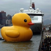 Artista HolandÃªs 'Solta' Pato de Borracha Gigante em Porto ChinÃªs