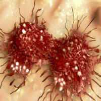 CÃ©lulas Cancerosas Podem Ser Transformadas em Tecido SaudÃ¡ve