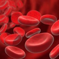 CoagulaÃ§Ã£o do Sangue: Defesa Natural do Organismo Contra Hemorragias
