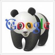 O Google Panda