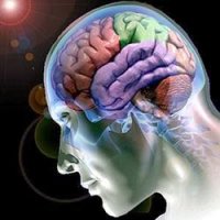 4 Curiosidades Interessantes Sobre o CÃ©rebro Humano