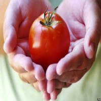 Estudo Recomenda Tomate Para Prevenir CÃ¢ncer de PrÃ³stata