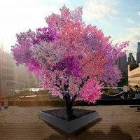 Artista Cria uma Nova Árvore que Produz 40 Tipos Diferentes de Frutas Por Ano