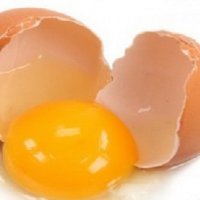 Por que Ã© Perigoso Comer Ovos Crus?