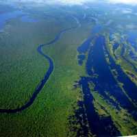 Conservação da Bacia Amazonica Depende de Manejo Integrado