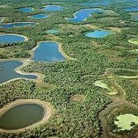 Vamos Proteger a Maior Ãrea Ãšmida do Mundo: Nosso Pantanal